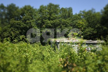 Фото №3: Земельный участок под ИЖС - Кутаис, ул. Нефтяников, 1