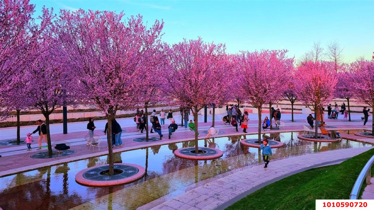 Фото №5: Земельный участок под ИЖС - Краснодар, Прикубанский внутригородской округ, мкр. Плодородный-2, ул. Тарасовская, 14