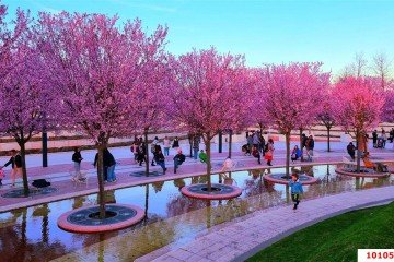 Фото №5: Земельный участок под ИЖС 8.02 сот. - Краснодар, мкр. Плодородный-2, ул. Тарасовская, 14