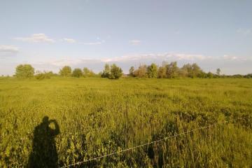 Фото №5: Земельный участок 20 сот. - Казазов, 