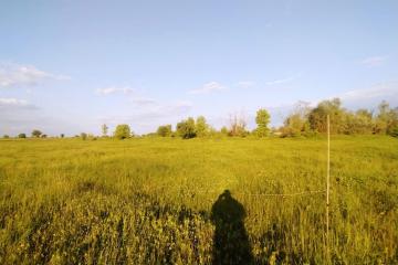 Фото №2: Земельный участок 20 сот. - Казазов, 