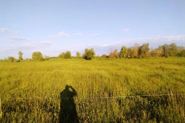 Фото №3: Земельный участок 20 сот. - Казазов, 