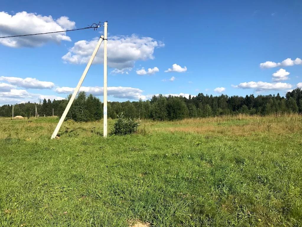 Фото №3: Земельный участок 6 сот. - Победитель, мкр. Прикубанский внутригородской округ, ул. Калинина, 23А