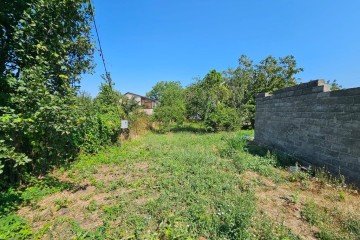 Фото №3: Участок садоводство 4.1 сот. - СНТ Нива, мкр. Прикубанский внутригородской округ, ул. Персиковая, 497