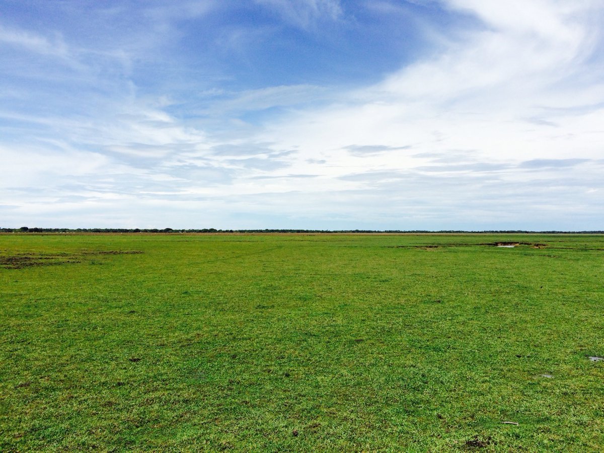 Фото №3: Земельный участок 10 сот. - Старокорсунская, мкр. Карасунский внутригородской округ, пер. 4-й Семейный, 2