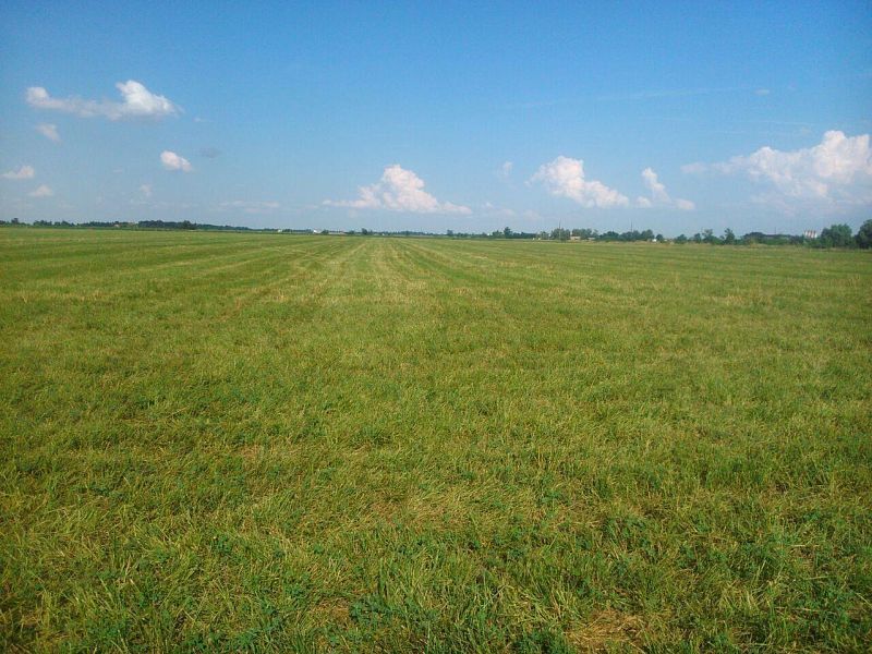 Фото №2: Земельный участок 10 сот. - Старокорсунская, мкр. Карасунский внутригородской округ, пер. 4-й Семейный, 2