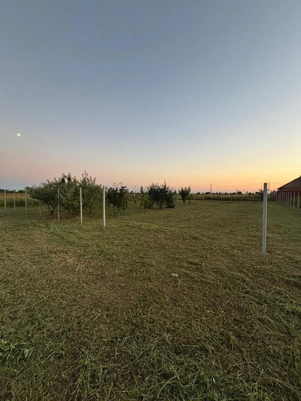 Фото №7: Земельный участок 10 сот. - Старокорсунская, мкр. Карасунский внутригородской округ, пер. 4-й Семейный, 2