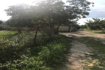 Фото №5: Земельный участок 6.11 сот. - Краснодар, ст Ветерок-2, ул. Вишнёвая, 36