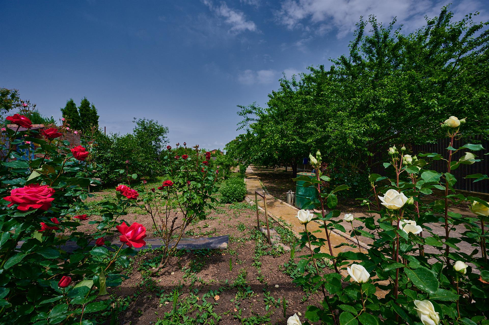 Фото №10: Дом 105 м² + 10.1 сот. - Елизаветинская, мкр. Прикубанский внутригородской округ, ул. Краснодарская, 26