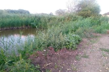 Фото №4: Земельный участок 5 сот. - Пластуновская, ул. Краснодарская, 72