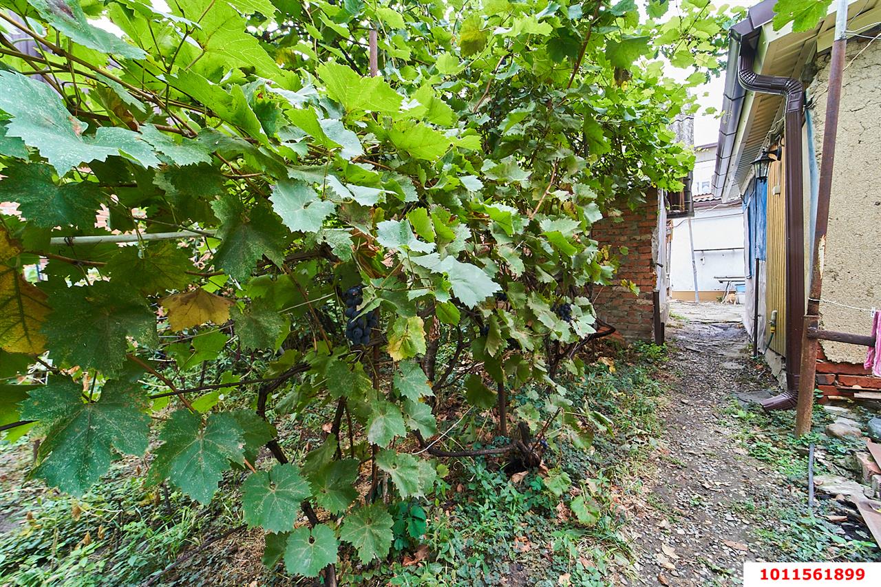 Фото №16: Часть дома 57 м² + 4 сот. - Краснодар, Центральный внутригородской округ, мкр. Дубинка, ул. Озёрная, 29